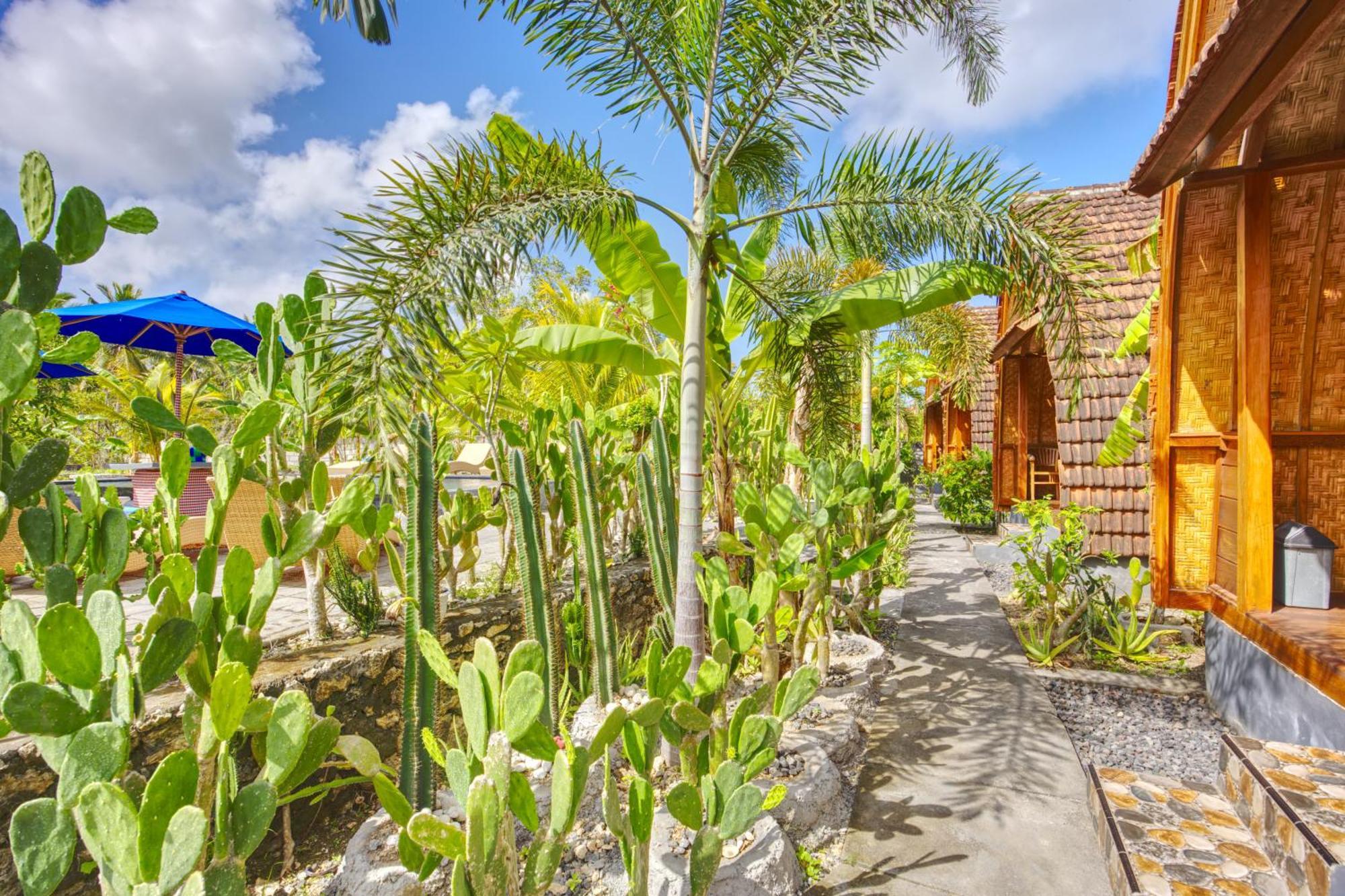 Kira Cottages Sakti Exterior photo